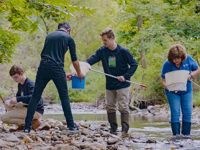 Lehigh Valley students working with faculty members at a stream using nets and buckets to collect water life to study.