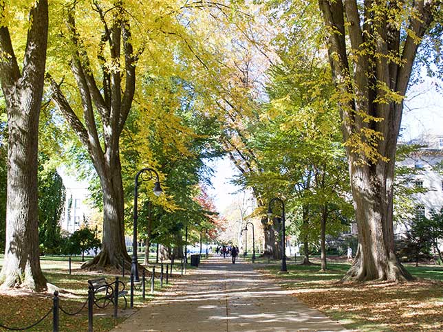 Students walk on the Penn State University Park campus under trees with yellow and green leaves