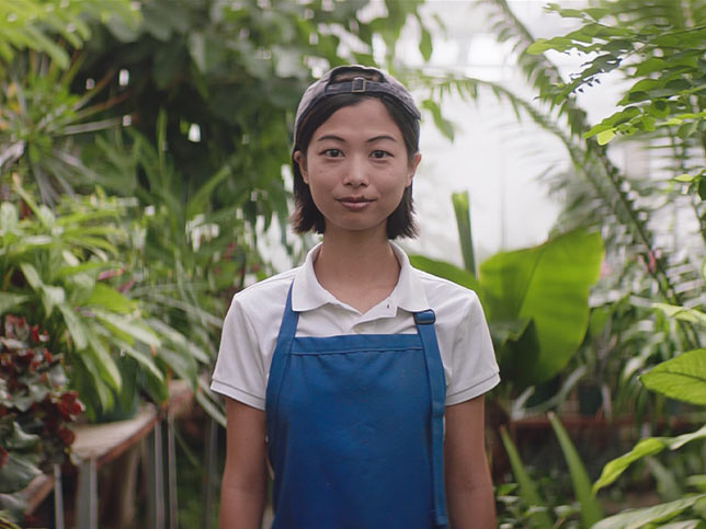 A student worker wearing an apron in a greenhouse.