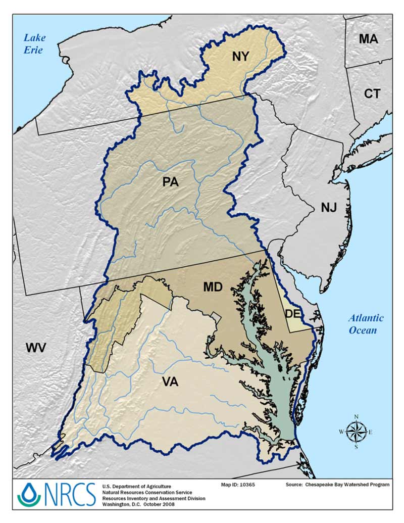 Map of the Chesapeake Bay area in New York, Pennsylvania, Virginia, Delaware, and Maryland. Map source: Chesapeake Bay Watershed Program