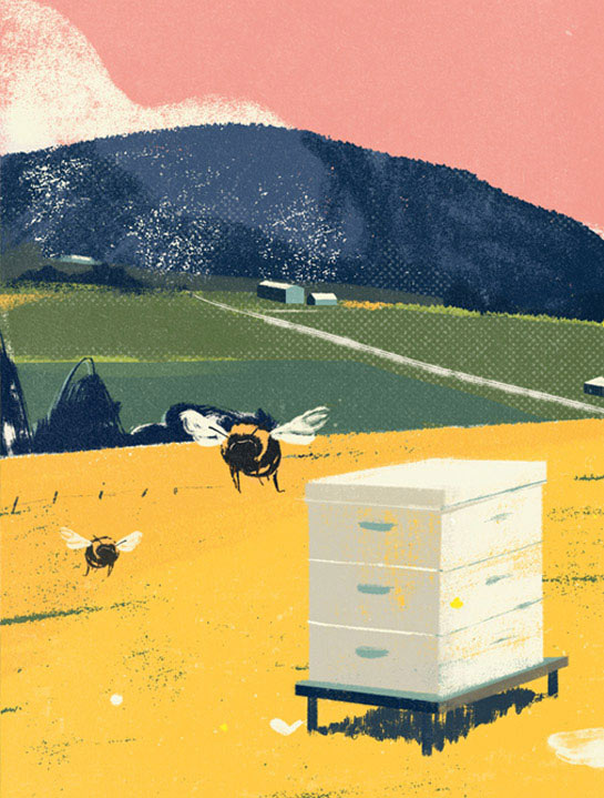 Illustration of bees flying near a wooden bee hive box in a meadow
