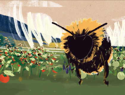 illustration of a bee flying in a field of flowers