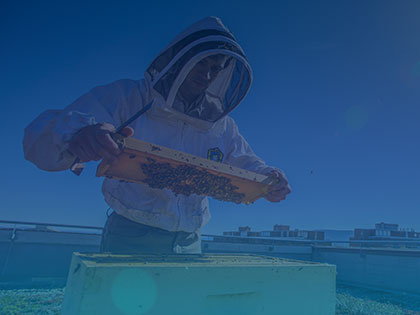 A beekeeper holding a hive