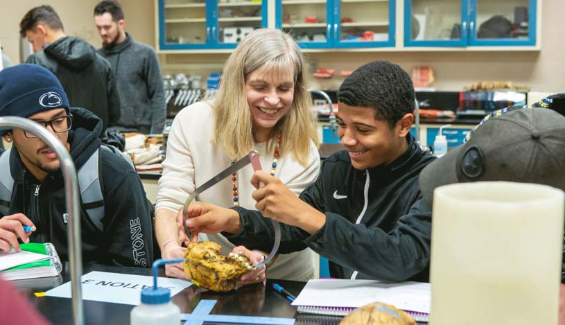 A biology professor helps a student use calipers to measure the size of a skull in a biology lab at Penn State Beaver.