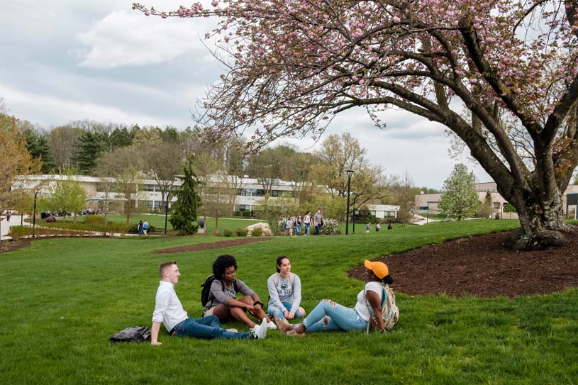 A group of students sit in the grass on the Berks campus while other students walk by in the background.