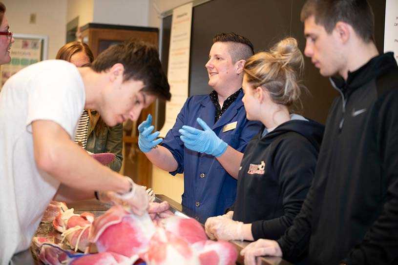 Penn State Fayette students work in a lab on a synthetic cadaver with a professor.