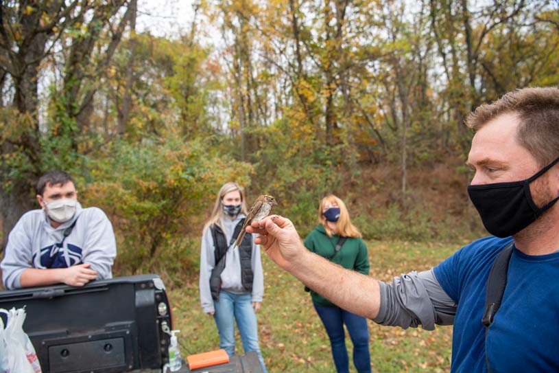 A Schuylkill faculty member and students gather outdoors and study a songbird temporarily captured as part of their research.