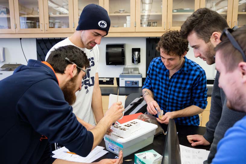 A group of students in Penn State Scranton’s biology lab work on field samples.