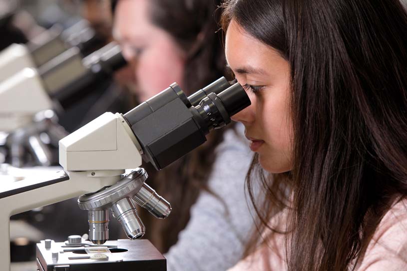 Students looking into microscopes during a lab