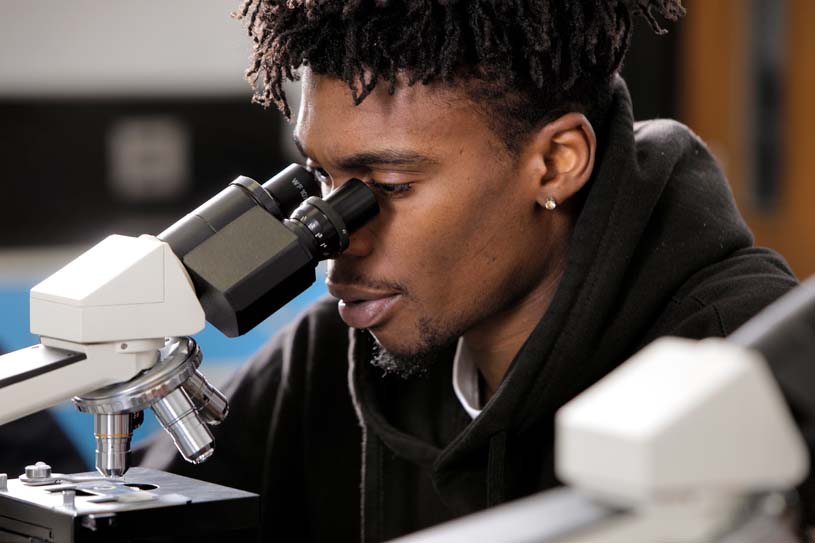 A student looking into a microscope during a lab