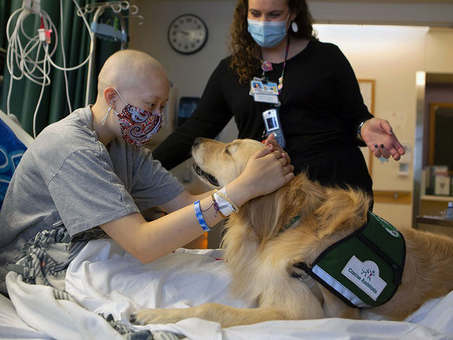 therapy dog with patient and nurse who are wearing protective masks.