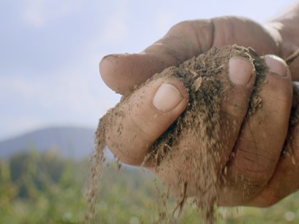 Hand dropping soil in a field